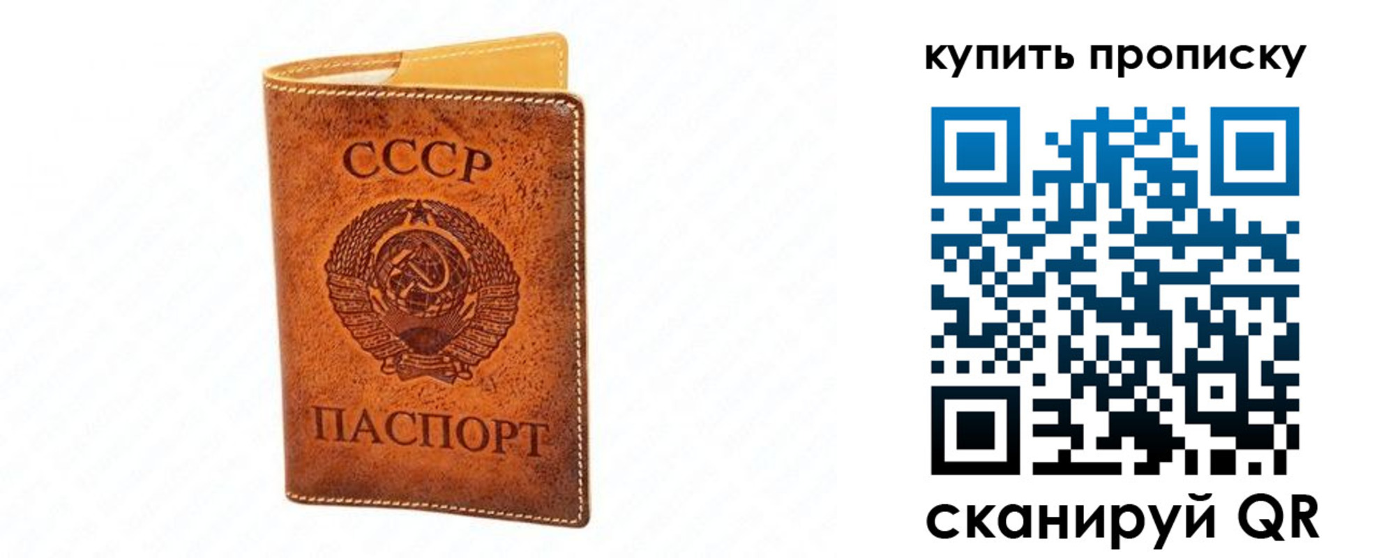 прописка поиск в Ногинске