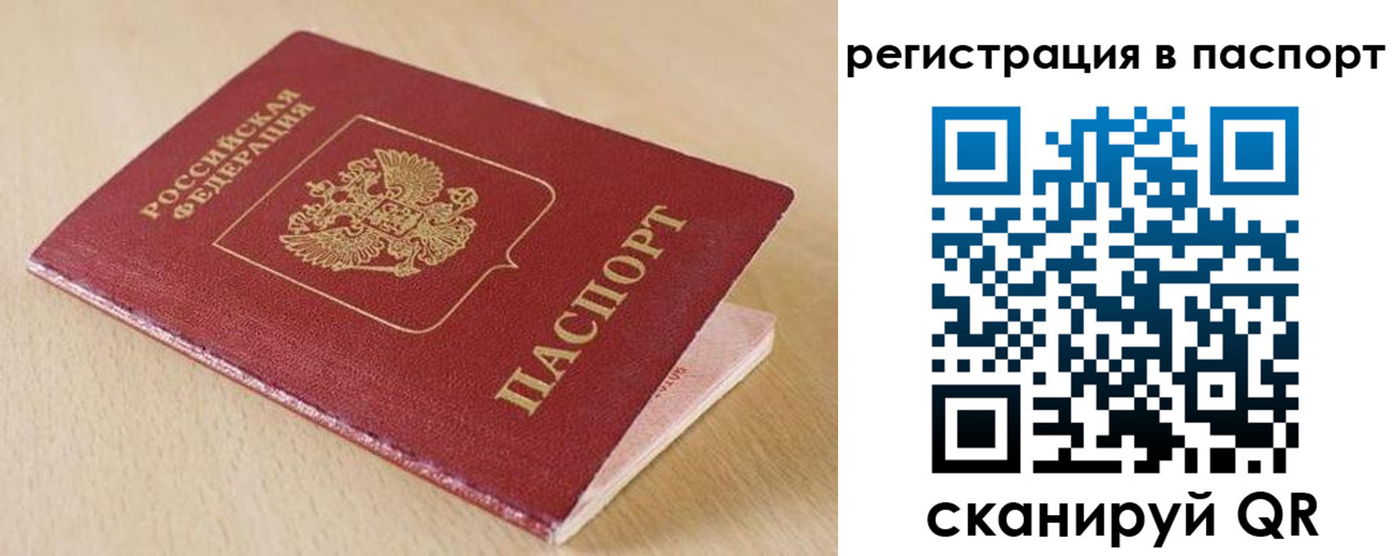 прописка поиск в Ногинске