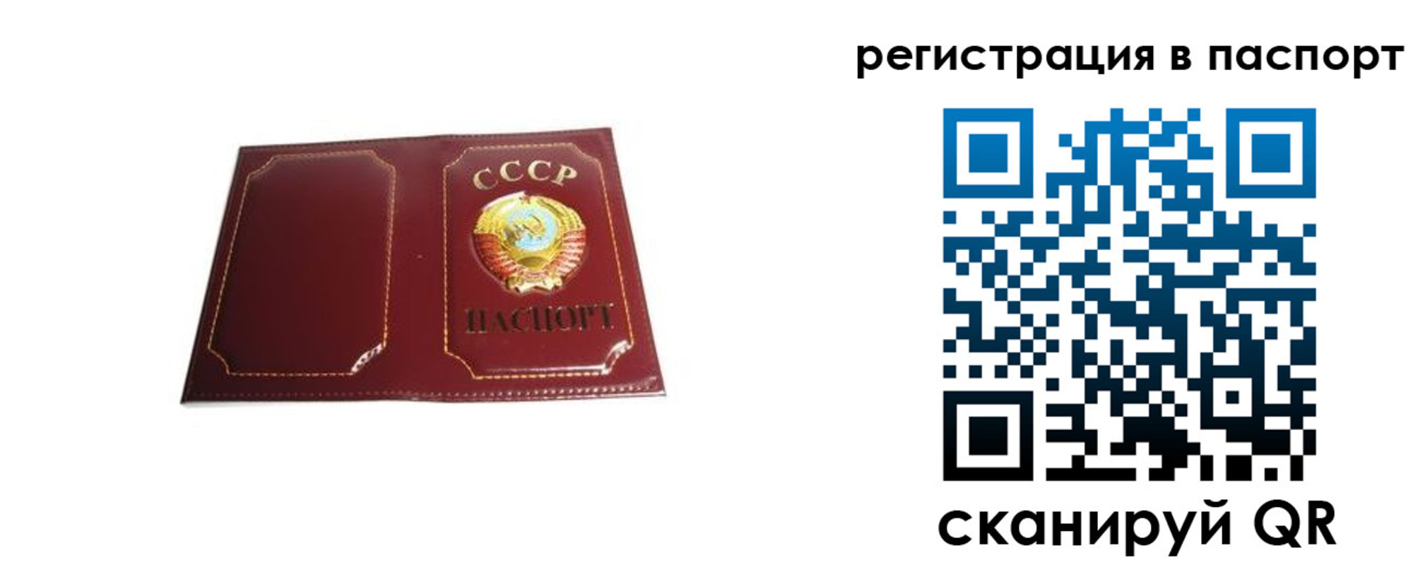 прописка 2025 в Ногинске